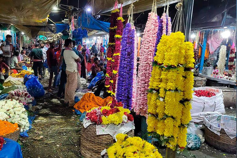 Explore the Mullick Ghat Flower Market